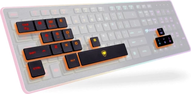 Tastier Vantar S Cougar