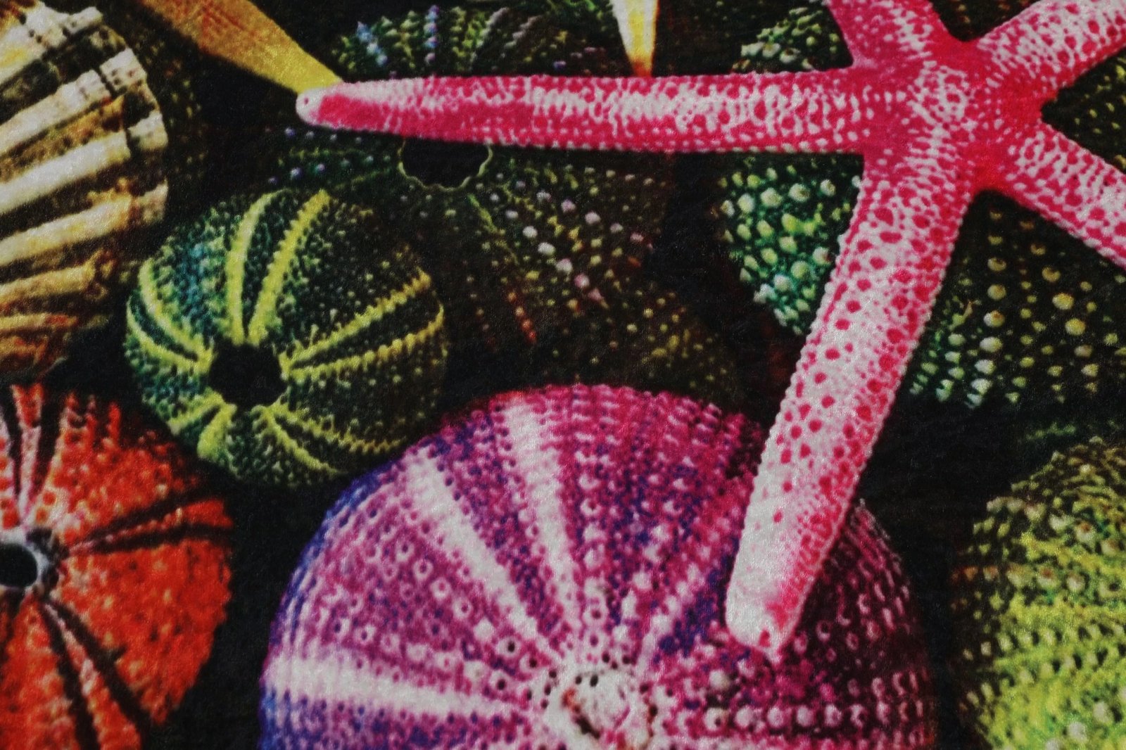 Tapet banjoje Mijölnir, Estrella, shumëngjyrësh, 100cm Tapet banjoje Mijölnir, Estrella, shumëngjyrësh, 100cm