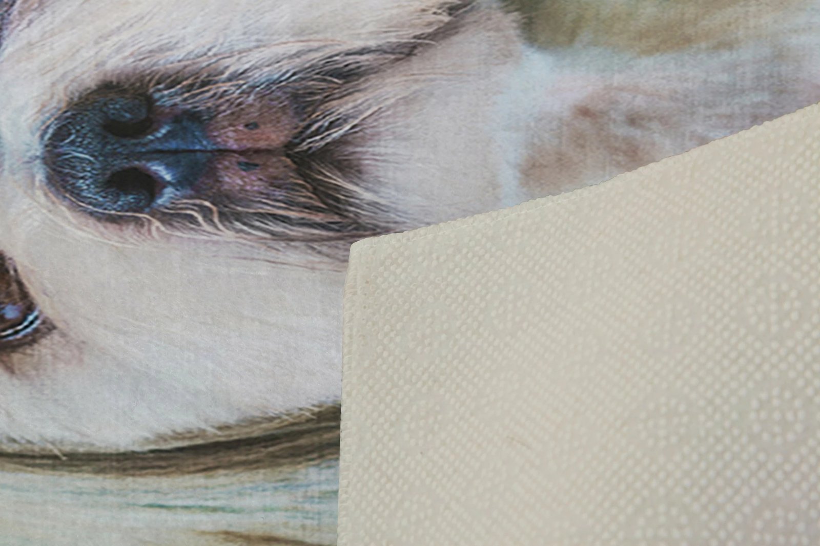 Qilim korridori, shumëngjyrësh, 80x150cm, Conceptum Hypnose, KHMFESTO008KEÇE