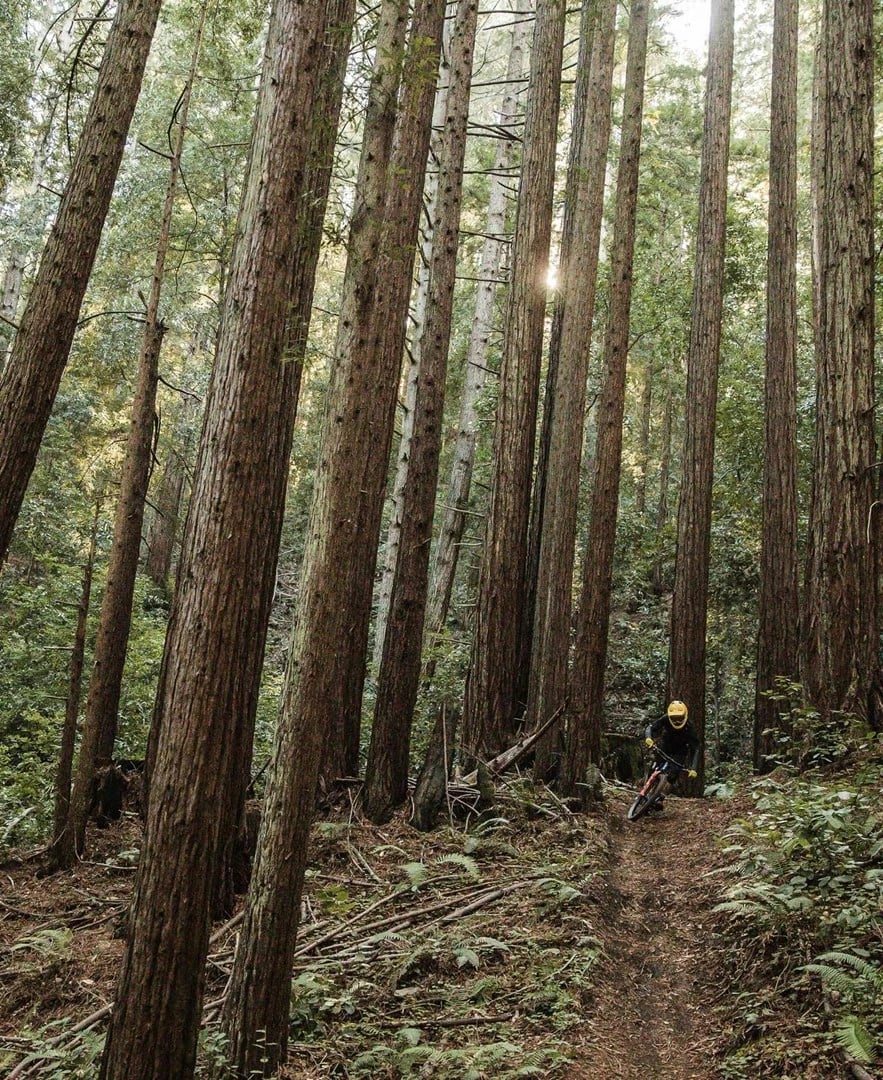 Mbrojtës trupi POC VPD System Torso, për të rritur, Unisex, i zi