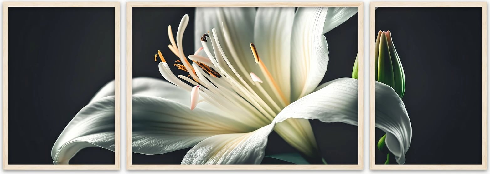 Pikturë dekorative me kornizë MDF (3 copë), Wallity, Huhu309, 50x140