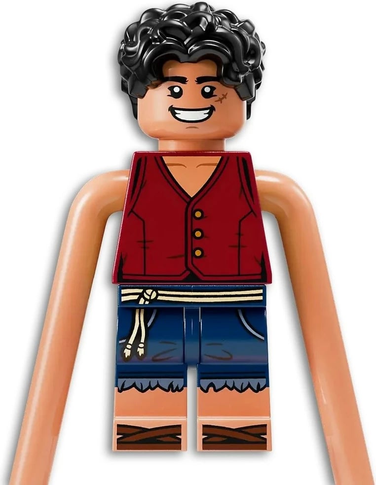 Set LEGO One Piece 75638 Battle at Arlong Park me 5 minifigura