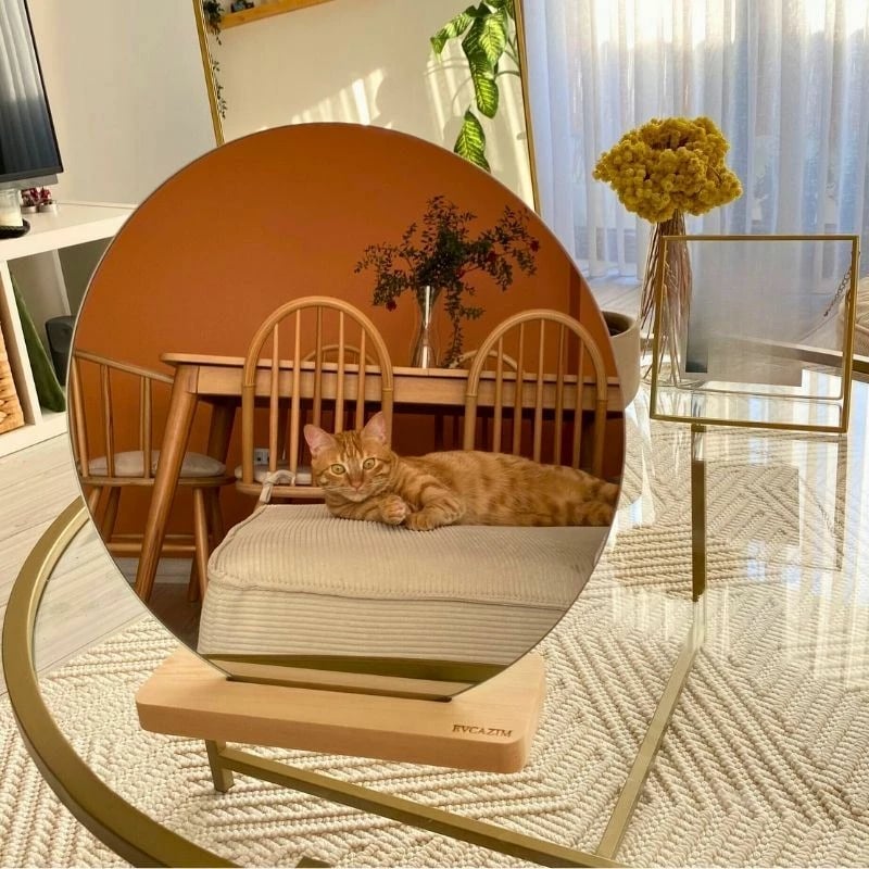 Pasqyrë make-up Hermia, SHY-AYN-003, xham transparent, bazë druri, 32x30x7cm