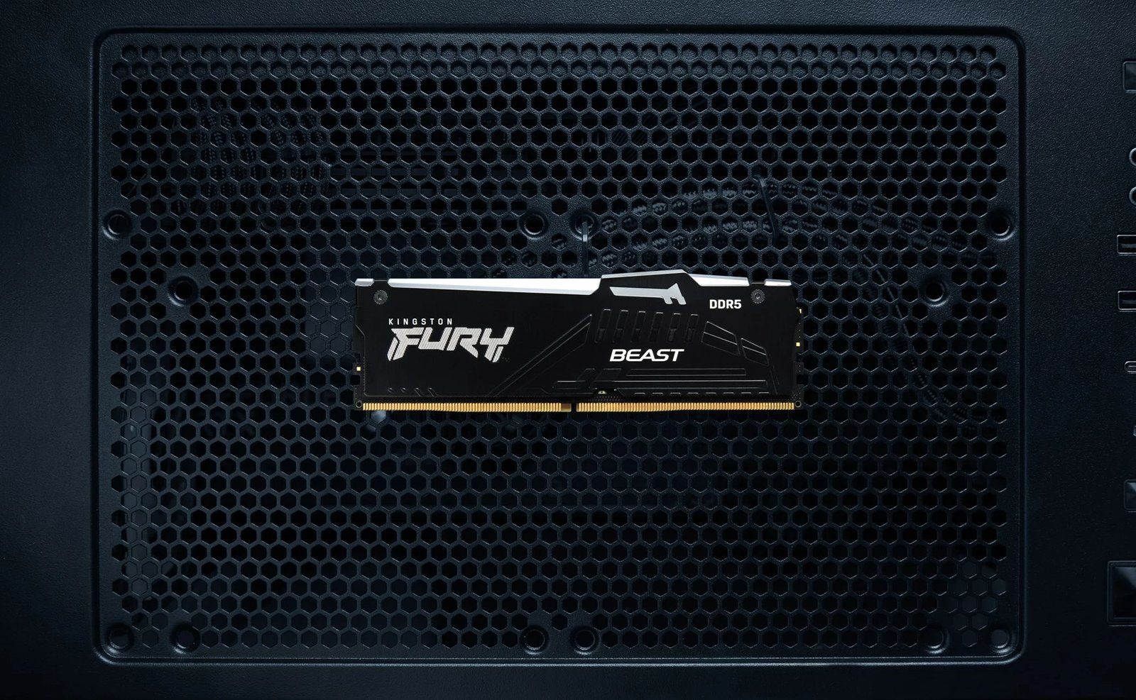 RAM Memorie Kingston Technology FURY RGB, 64GB DDR5, CL36 (2x32GB) RAM Memorie Kingston Technology FURY RGB, 64GB DDR5, CL36 (2x32GB)