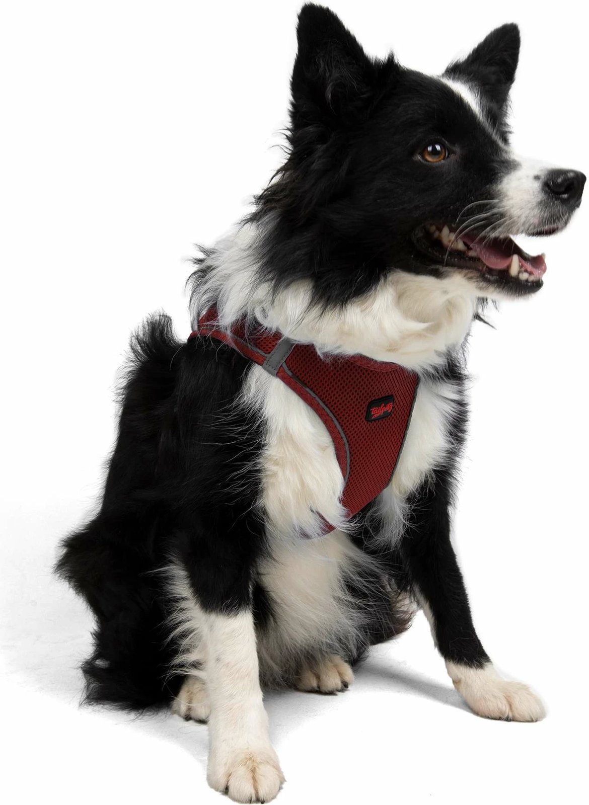 Parzmore për qen, Air-Mesh, ngjyrë e kuqe e errët (Claret Red)