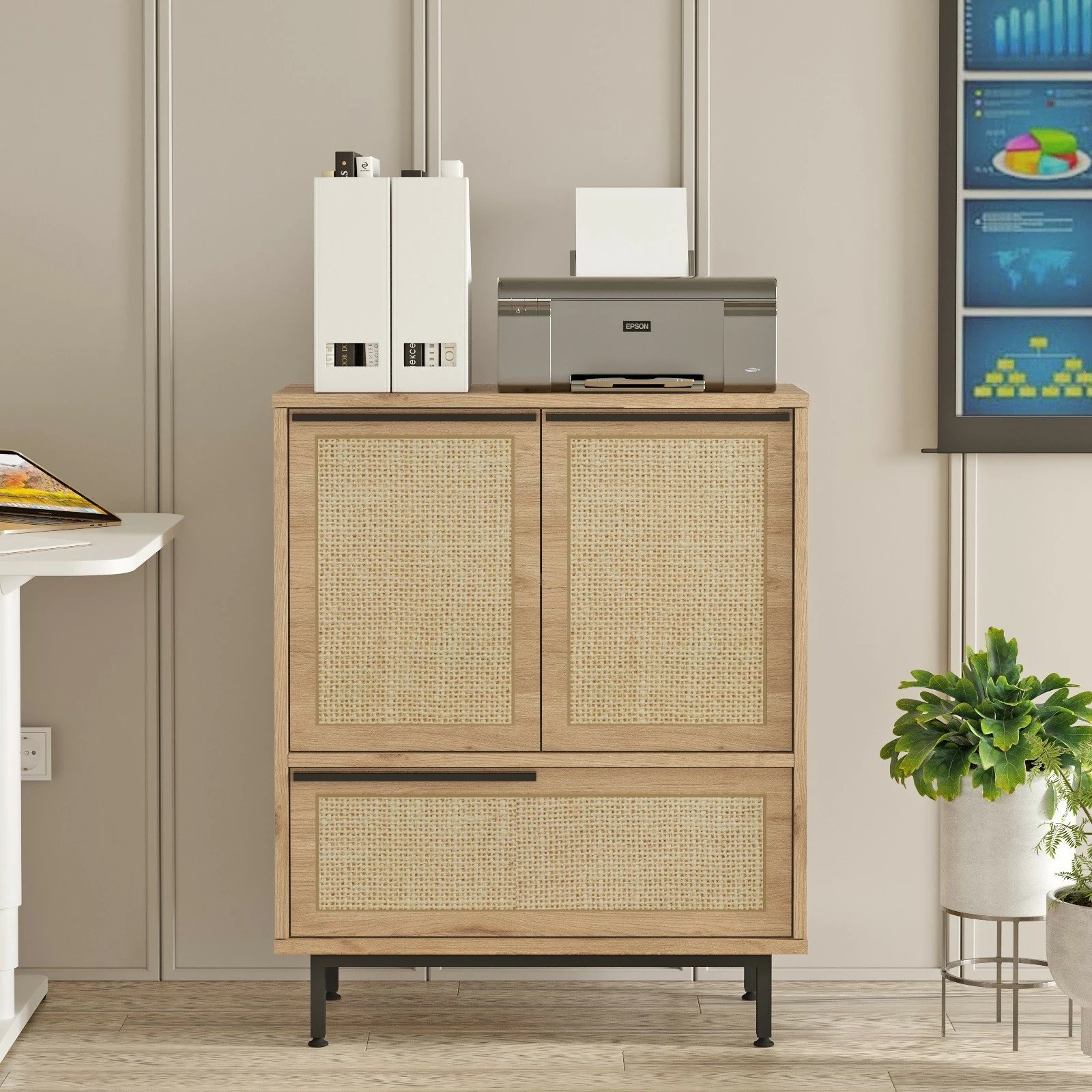 Dollap multifunksional Hanah Home, On8B-Su, ngjyrë arre dhe lis