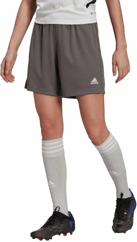 Shorce për meshkuj adidas Entrada 22, gri