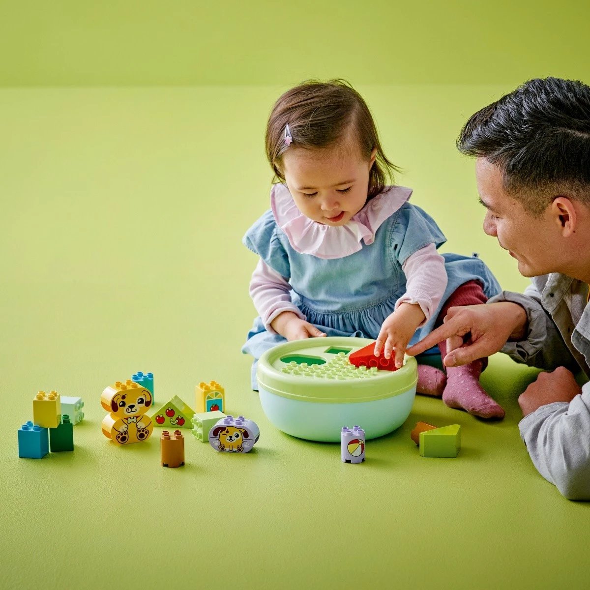 Set lodrash LEGO DUPLO 10441 Shape Sorter: Puppy House, 17 pjesë, shumëngjyrëshe