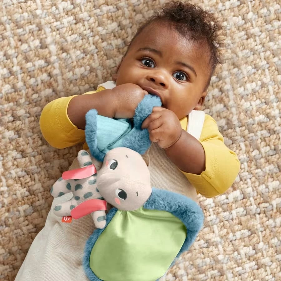 Lodër pelushi Fisher Price Planet Friends Elefant Big Ears, shumëngjyrëshe