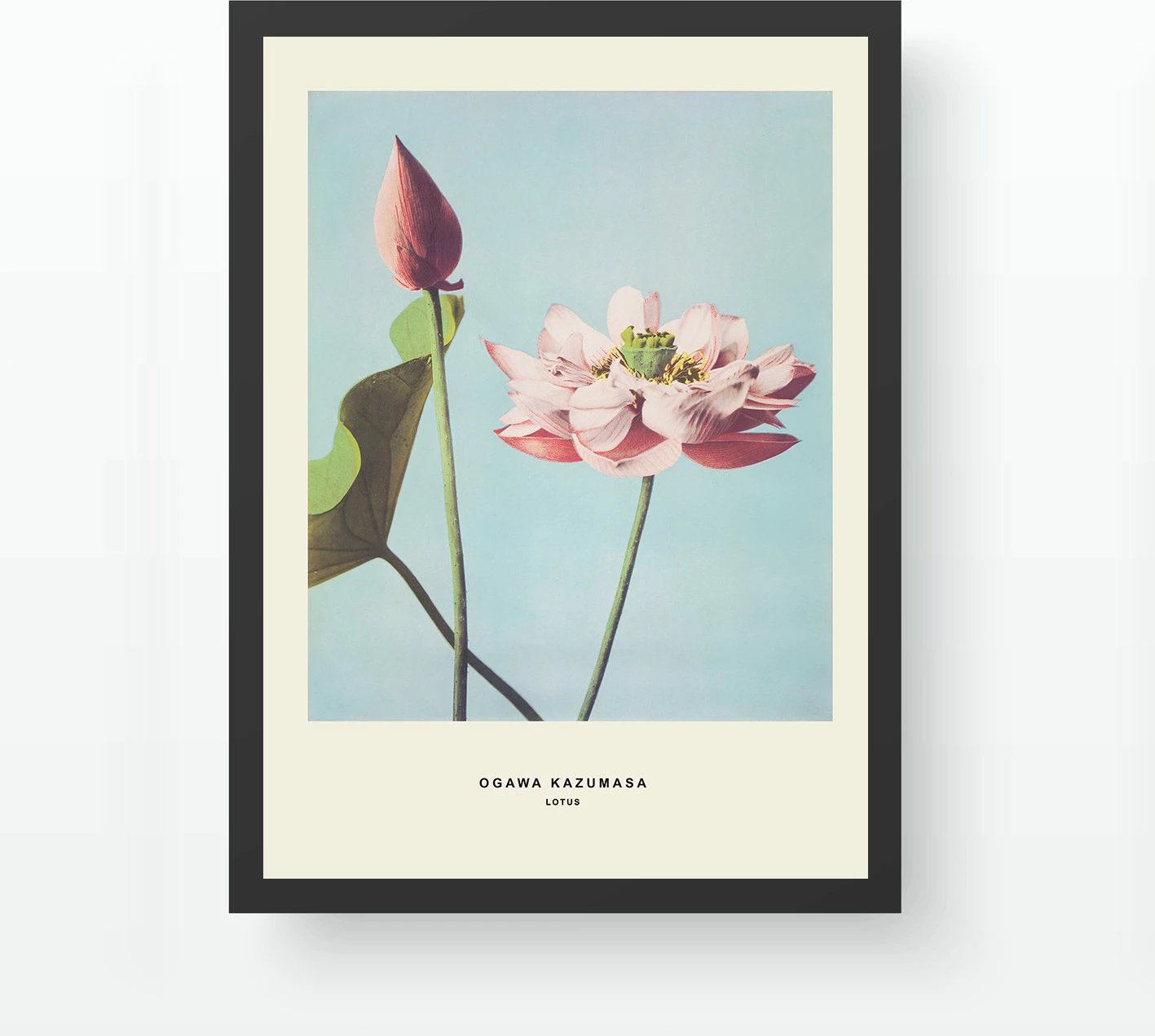 Pikturë dekorative me kornizë Wallity, SC523362-5575, shumëngjyrëshe, 55x75cm