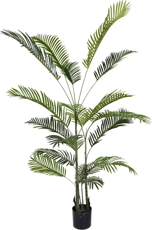 Bimë dekorative Areca III në vazo, ngjyrë e gjelbër, H180cm Bimë dekorative Areca III në vazo, ngjyrë e gjelbër, H180cm