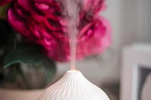 Difuzer arome ultrasonik, Camry, CR 7970, 100 ml, dritë ambienti, i bardhë