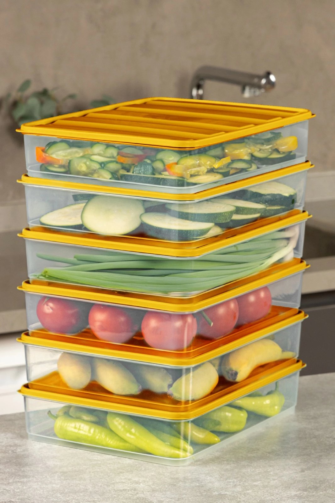 Set kuti plastike për organizim (4 copë), portokalli, YYBLLA3,54LU
