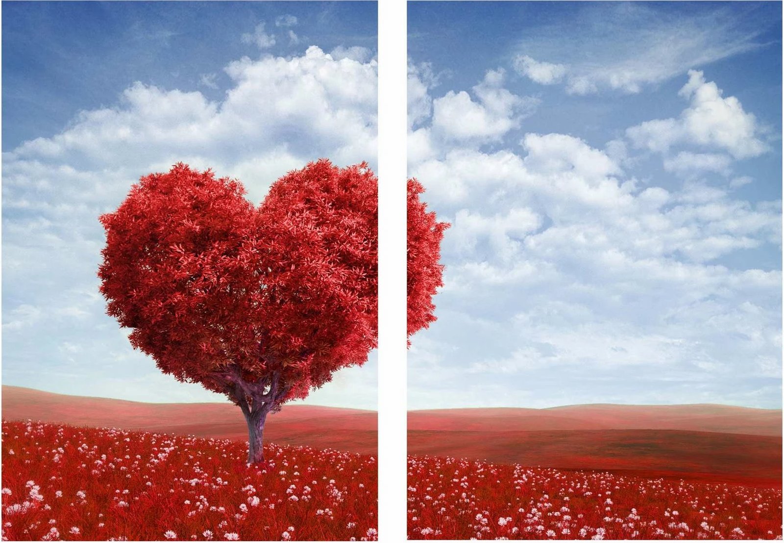 Pikturë dekorative me kornizë MDF (2 copë), Wallity, Mp2-00112, 40x50cm