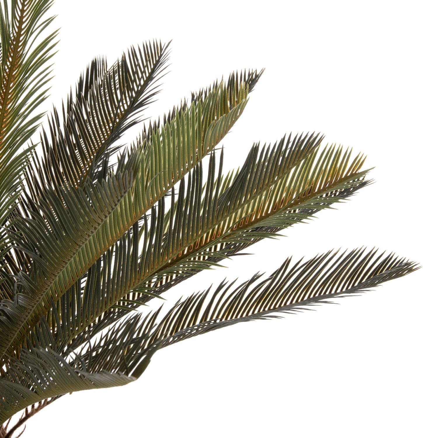 Bimë sintetike dekorative, FH7983, palmë me gjethe të mprehta në vazo, 94H cm