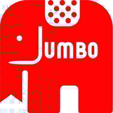 Puzzle, Jumbo, Jan van Haasteren The Oasis 1000 copë, 20048