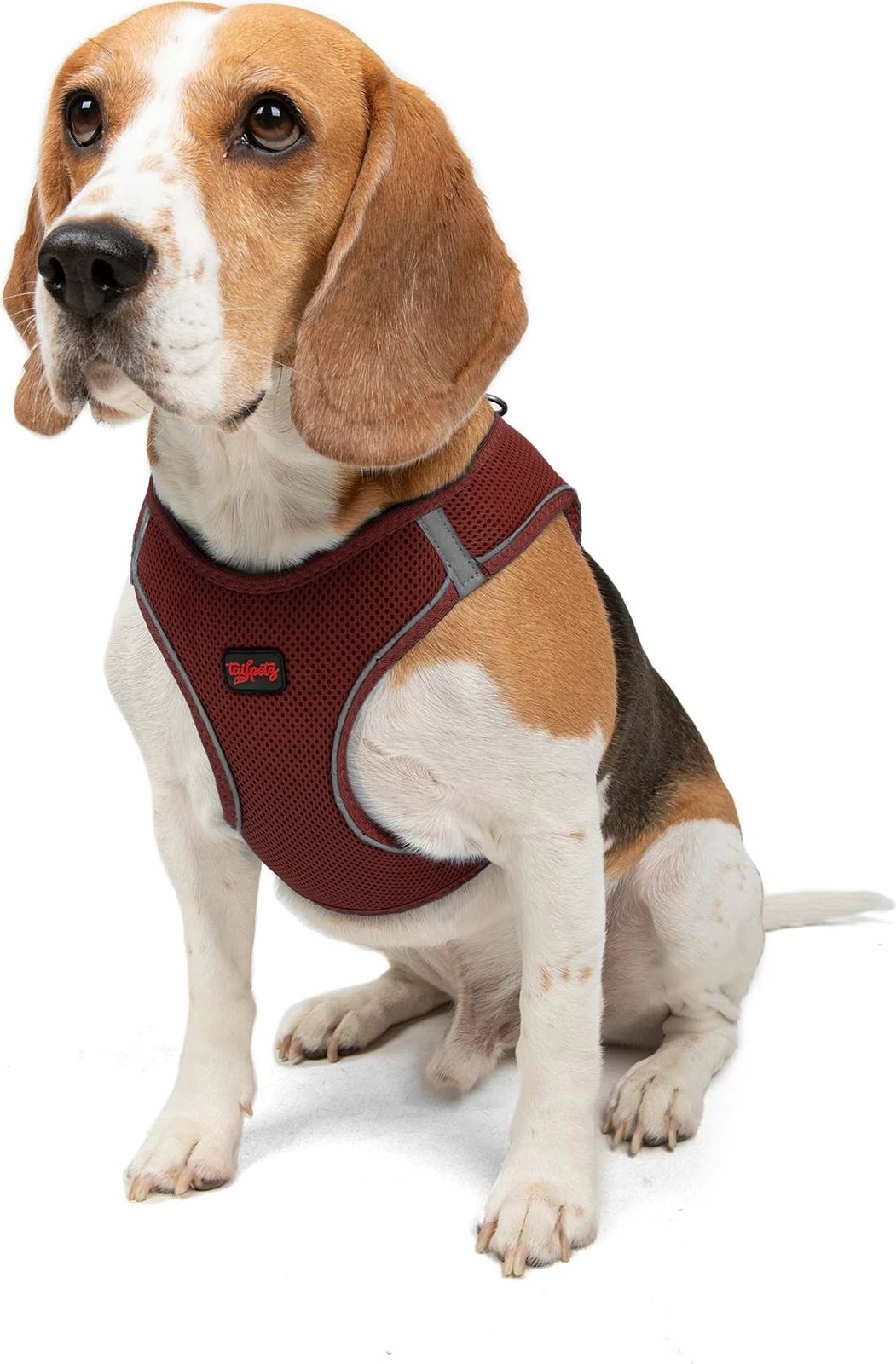 Parzmore për qen, Air-Mesh, ngjyrë e kuqe e errët (Claret Red)