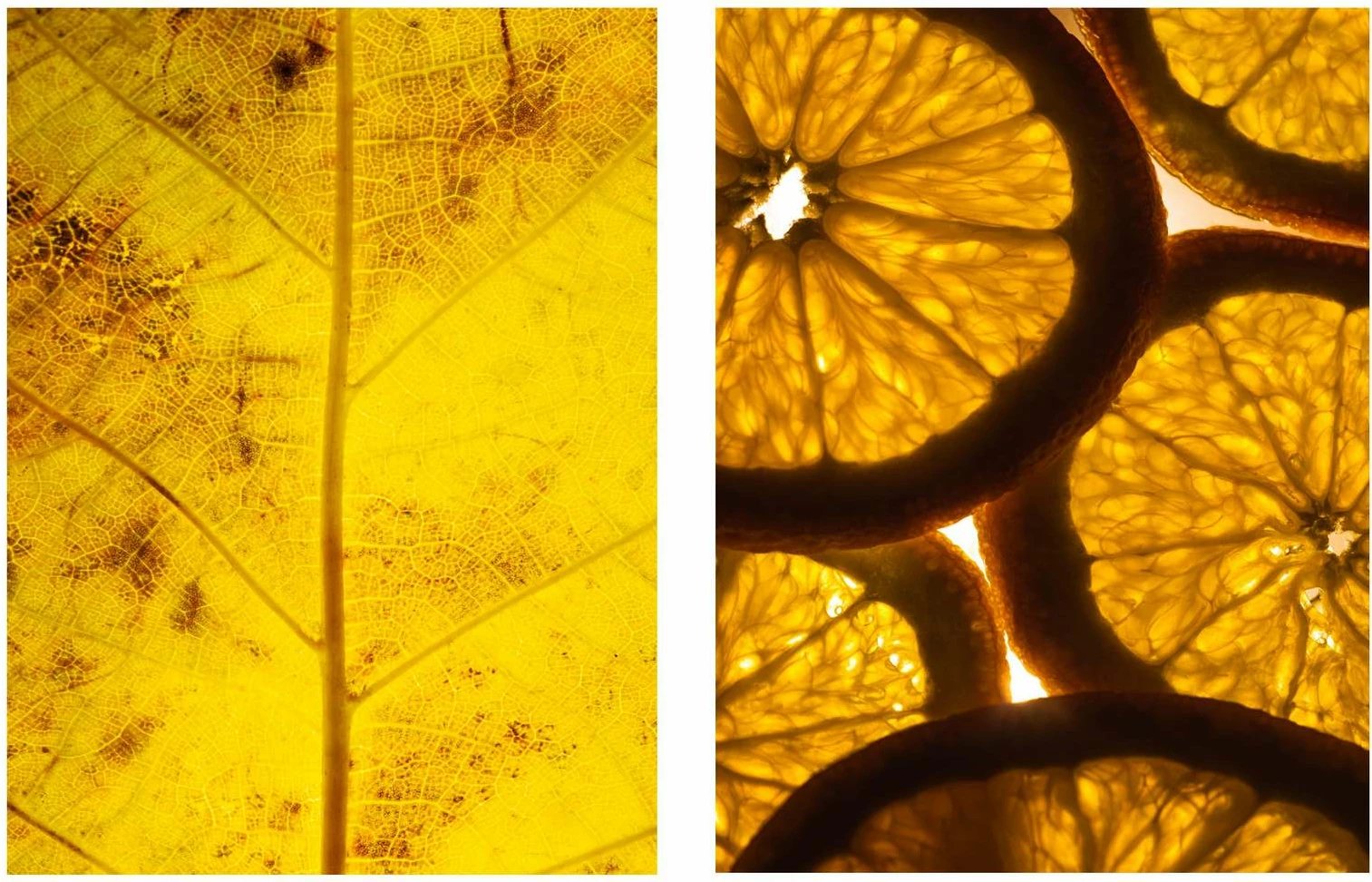 Pikturë dekorative me kornizë MDF (2 copë), Wallity, Mp2-00115, 21x30 cm