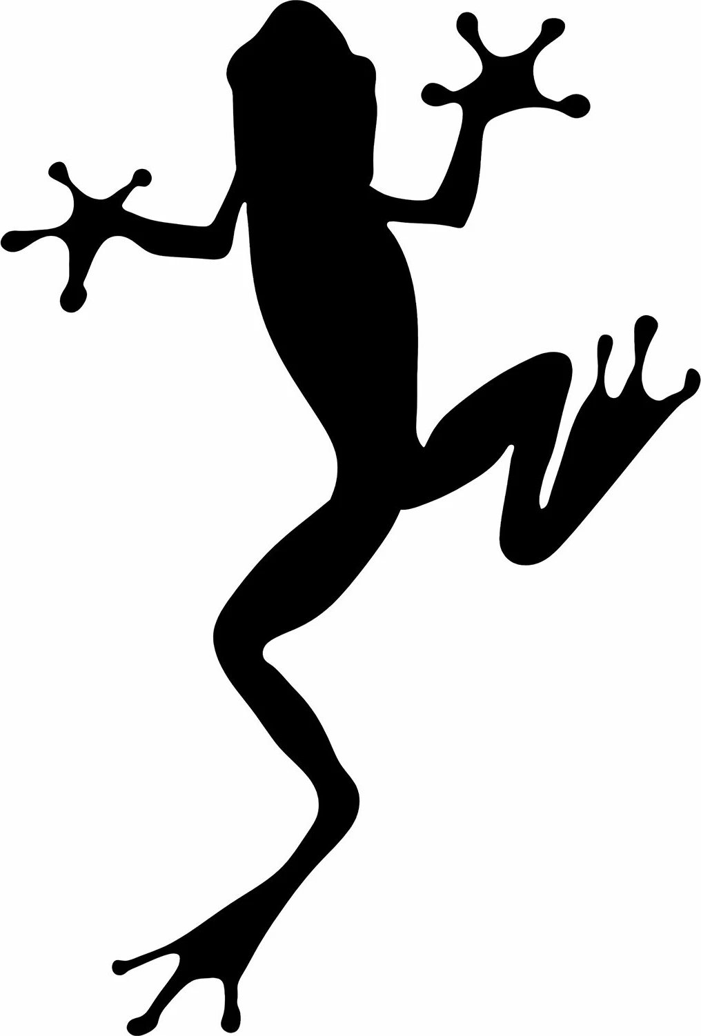 Aksesor dekorativ metalik për mur, bretkosë, Wallity, 28x42cm