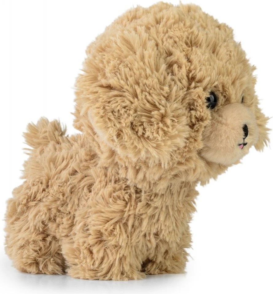Lodër pelushi Daffi Teddy Pets Golden Poodle, 19 cm, Bezhe