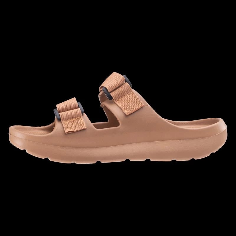 Papuqe meshkuj Iguana