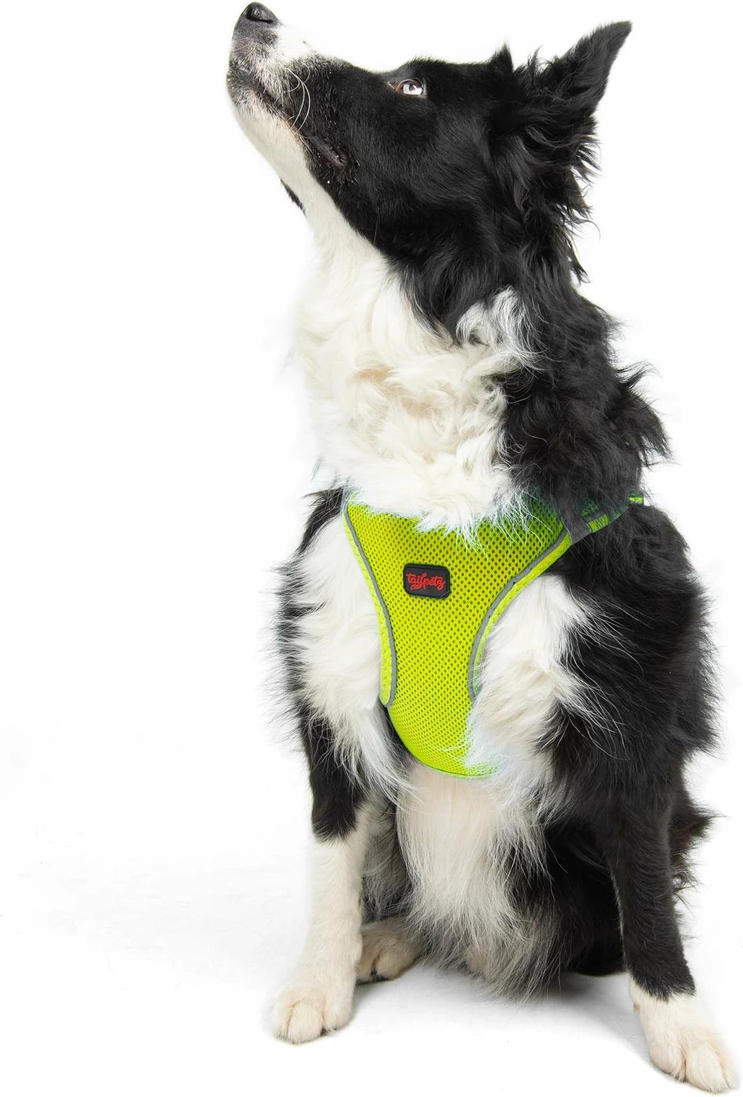 Parzmore për qen, ngjyrë Neo Lime, Air-Mesh