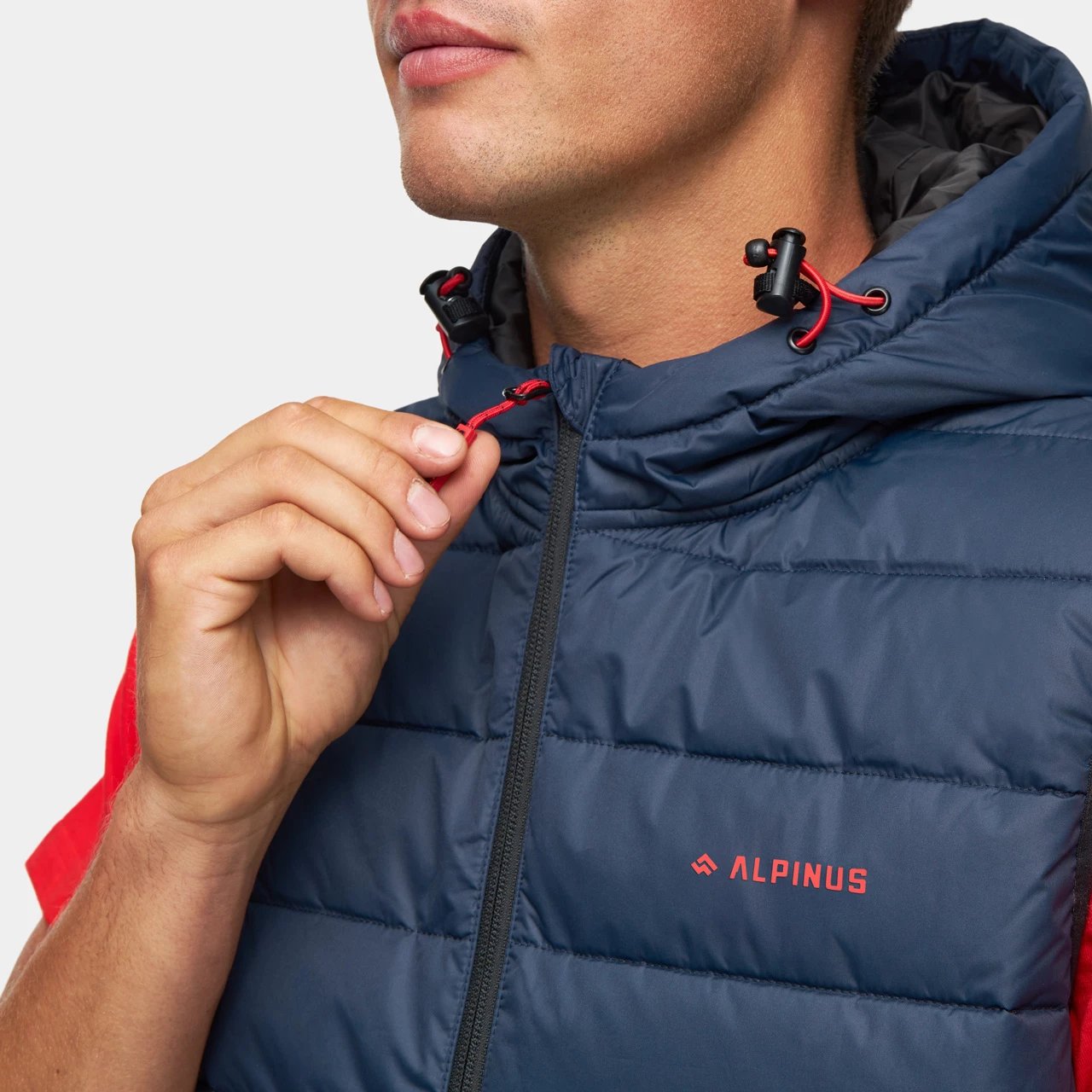 Jelek për meshkuj Alpinus, navy
