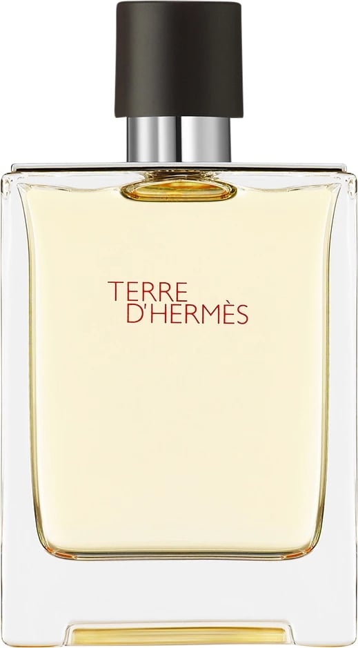 Eau de Toilette për meshkuj Hermes Terre D'Hermes 100ml
