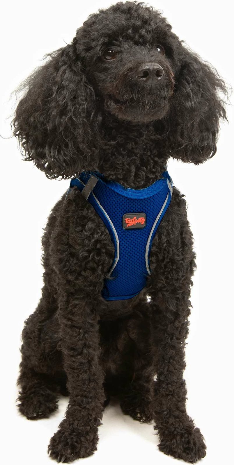 Parzmore për qen, Air-Mesh, ngjyrë sax blue