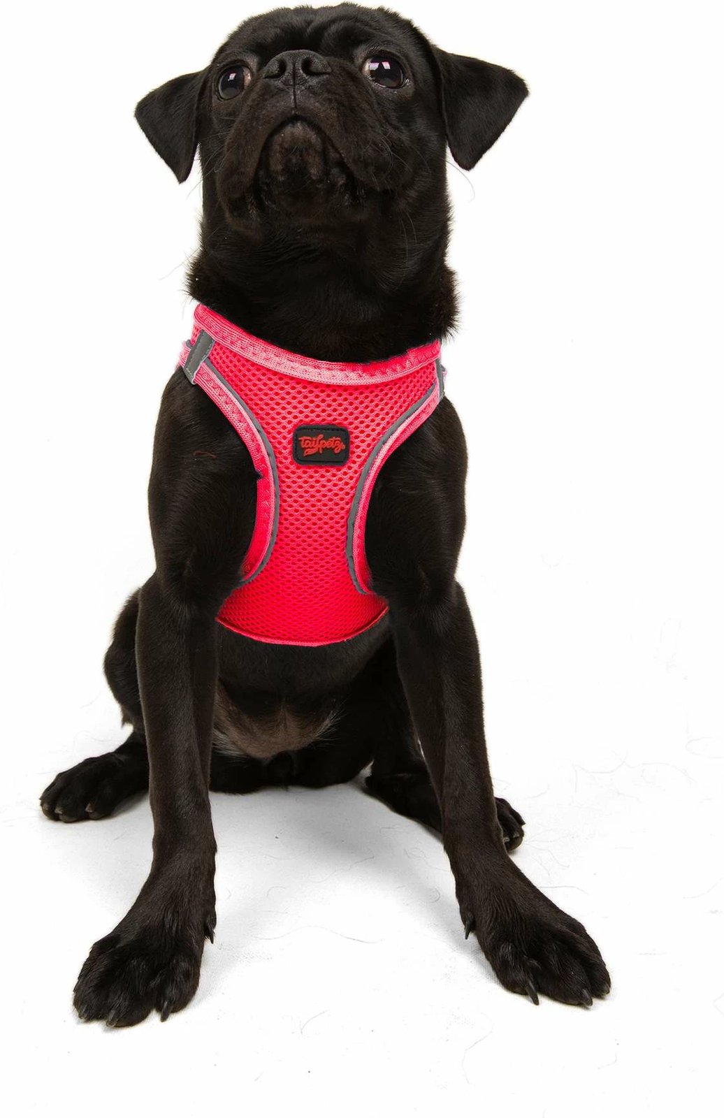 Parzmore për qen, Air-Mesh, ngjyrë Neo Pink