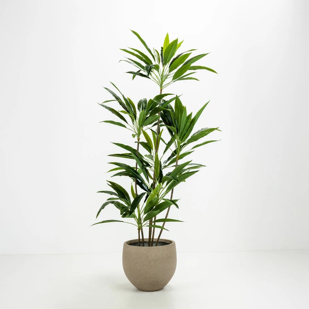 Set vazo betoni SCILLA, 2 copë, ngjyrë kafe e çelët, 40x40x34cm