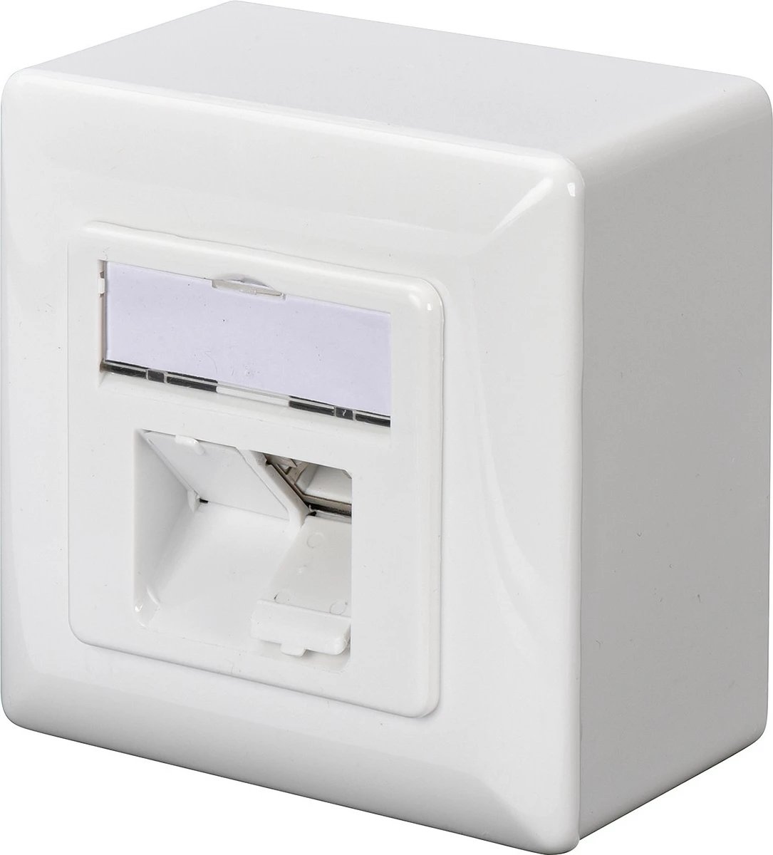 Prizë rrjeti Digitus CAT 6A, 2xRJ-45, e bardhë