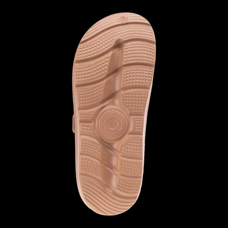 Papuqe meshkuj Iguana