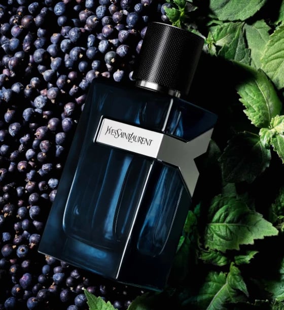 Yves Saint Laurent Y Eau De Toilette Intense, 100 ml