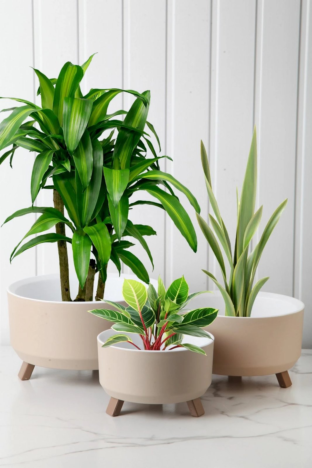 Set vazo dekorative Aberto Design, krem, TRPTSKS-3-3