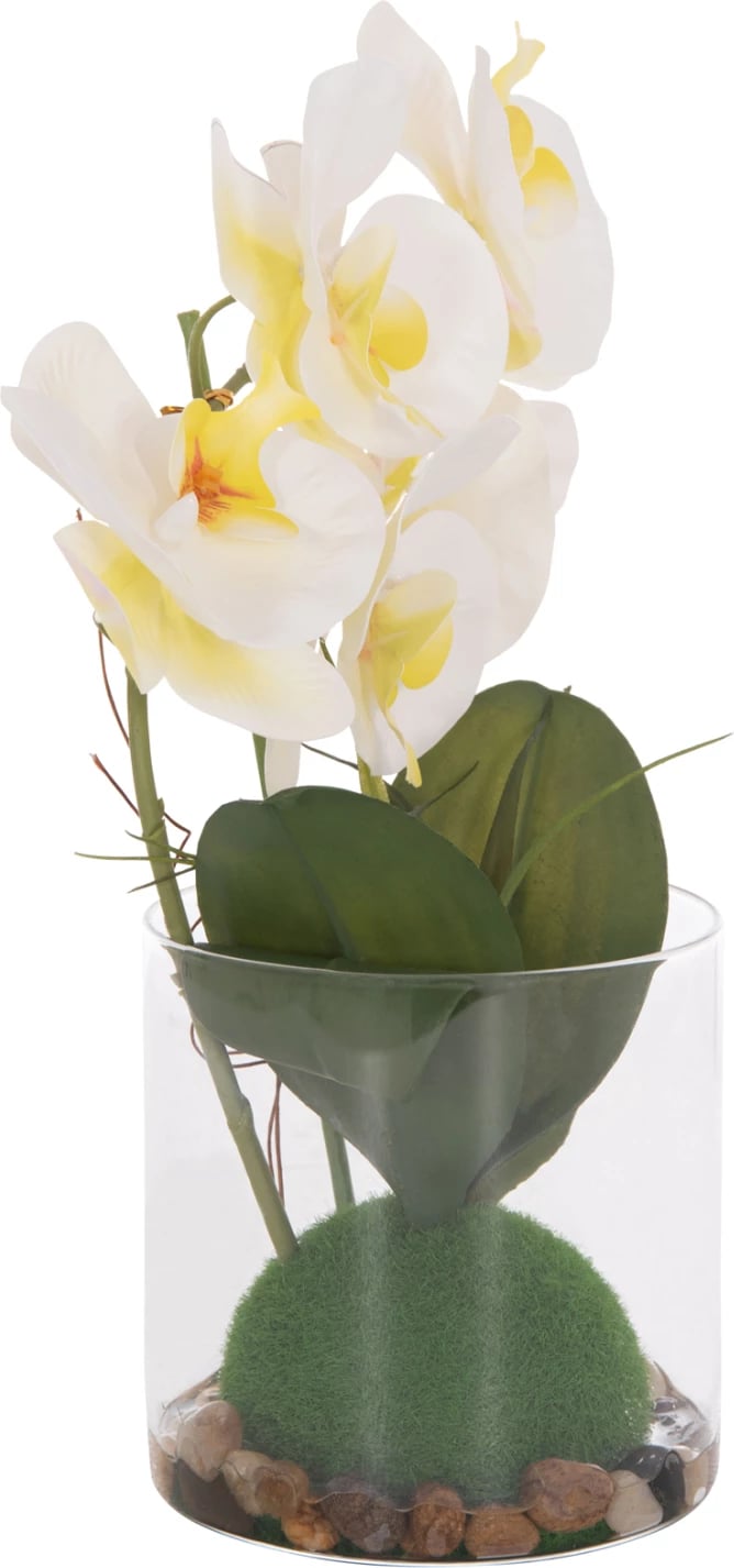 Lule dekorative sintetike Phalaenopsis në vazo qelqi, 12x24x30cm