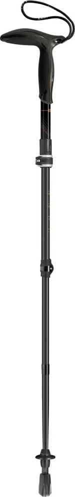 Shkop trekking LEKI Legend Series Microphone, 100 cm, i zi