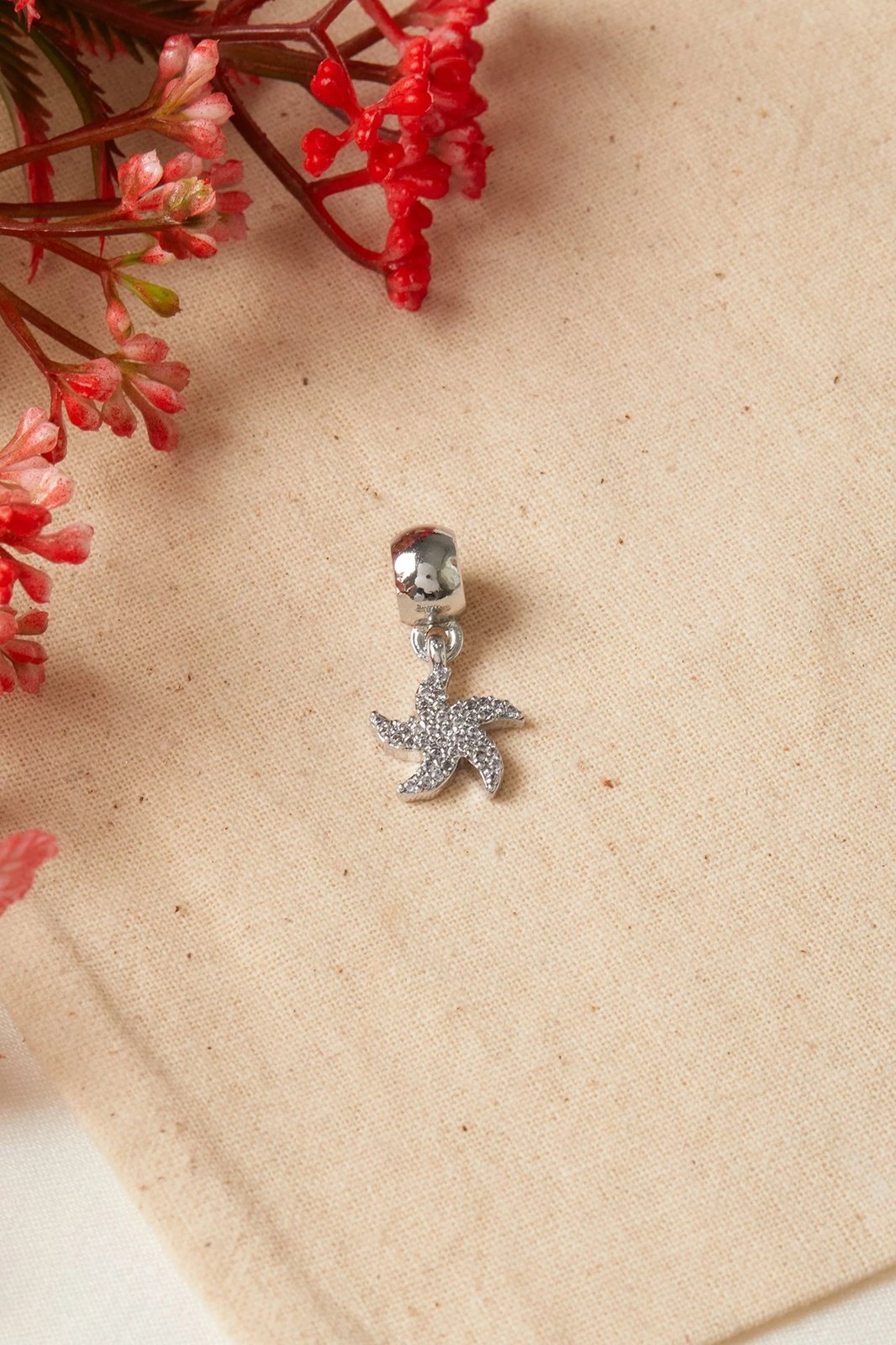 Varëse metalike Elika, CPN9879