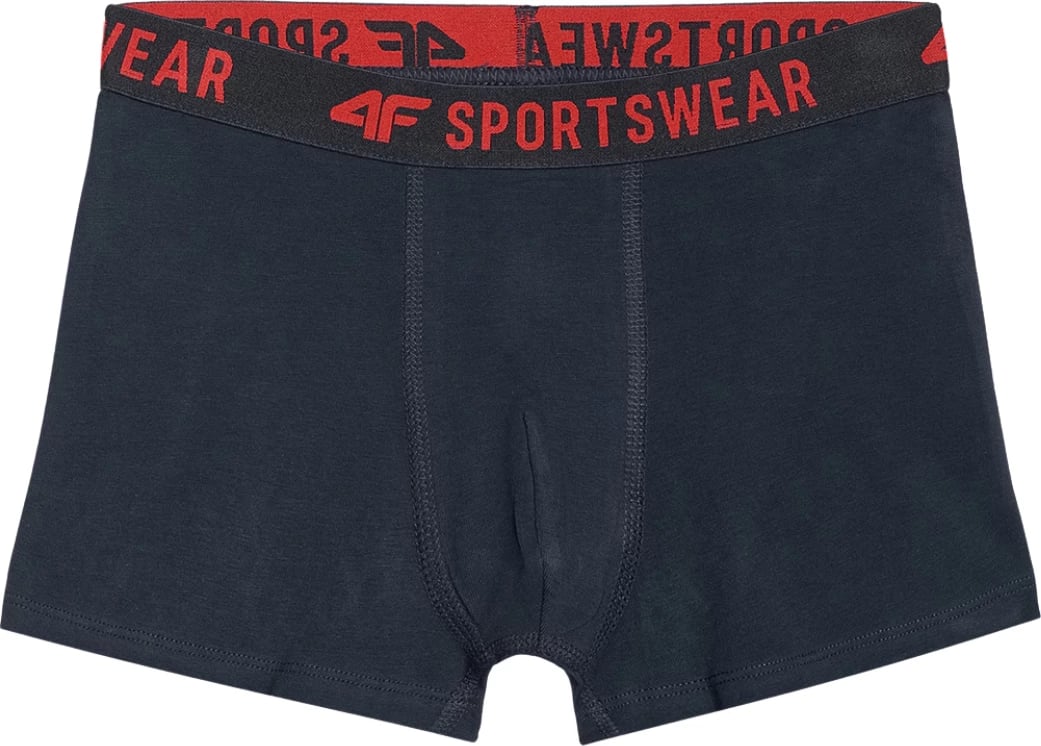 Të brendshme për djem 4F, shumëngjyrëshe Të brendshme për djem 4F, shumëngjyrëshe