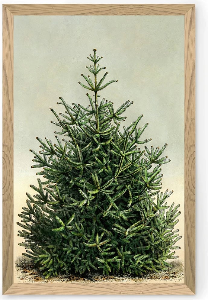 Pikturë dekorative, Wallity, Tekhammdf73, shumëngjyrëshe, 33x48cm