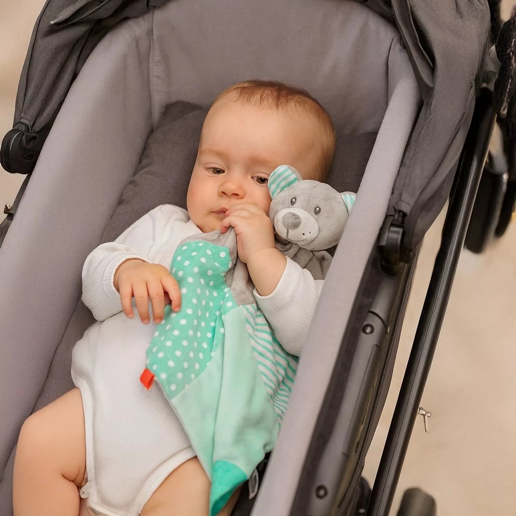 Lodër pelushi arushë, Baby Mix, 36x31 cm, mente