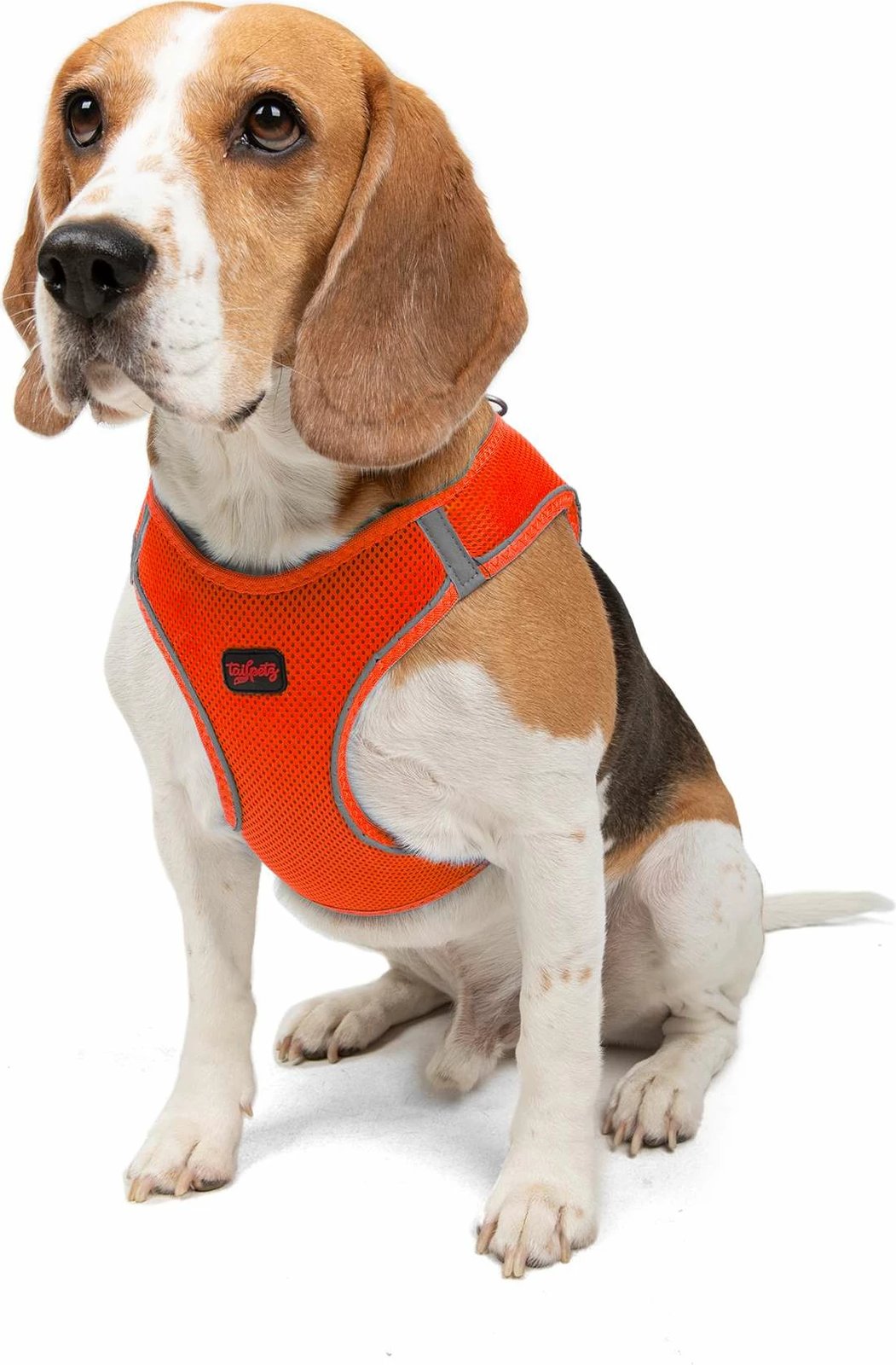 Parzmore për qen, Air-Mesh, ngjyrë portokalli Neo