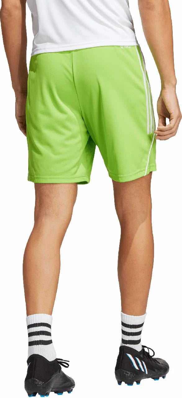 Shorce për meshkuj adidas, të gjelbra