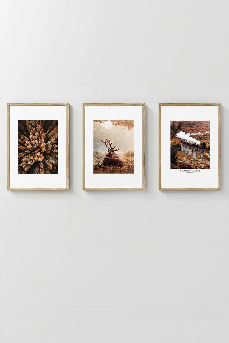 Pikturë dekorative me kornizë (3 copë), Wallity, Artcerceve20