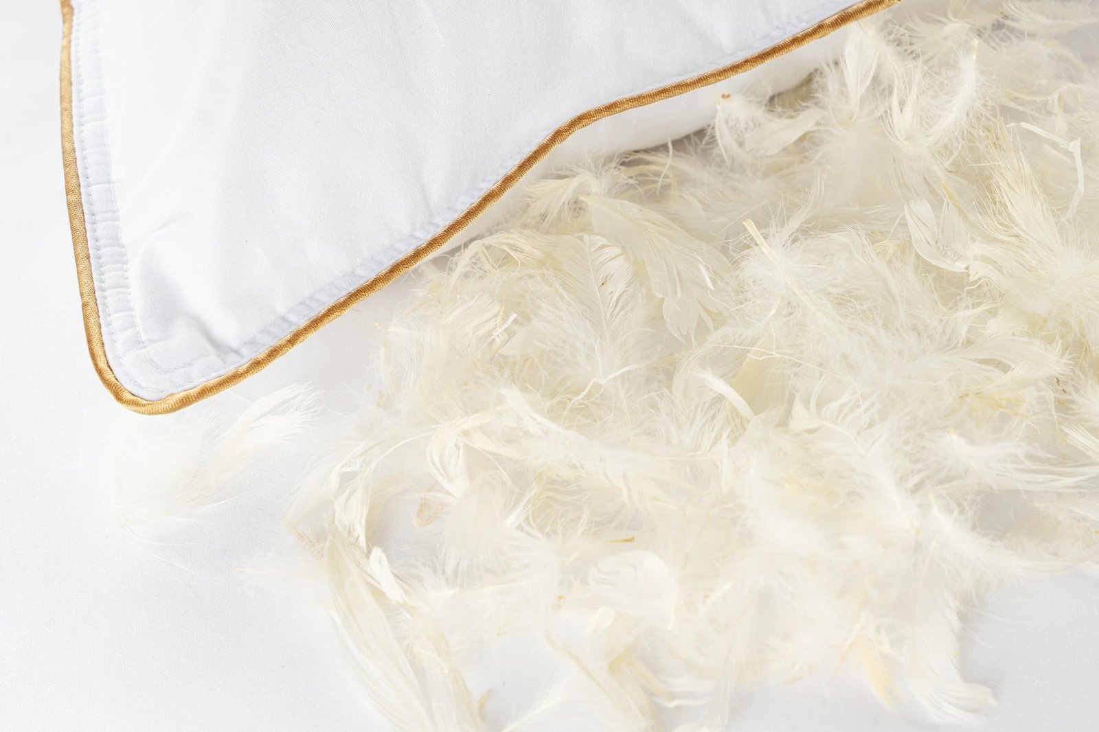 Jastëk L'essentiel, pambuk i bardhë, mbushje pupla dhe mikrogjel, 50x80cm