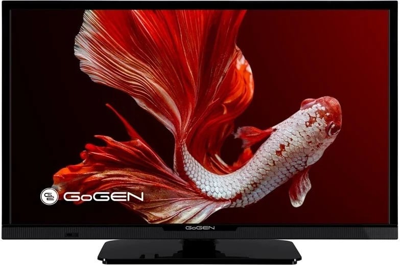 Televizor GoGEN TVH24P352T, 24 cale, LCD-LED, zi