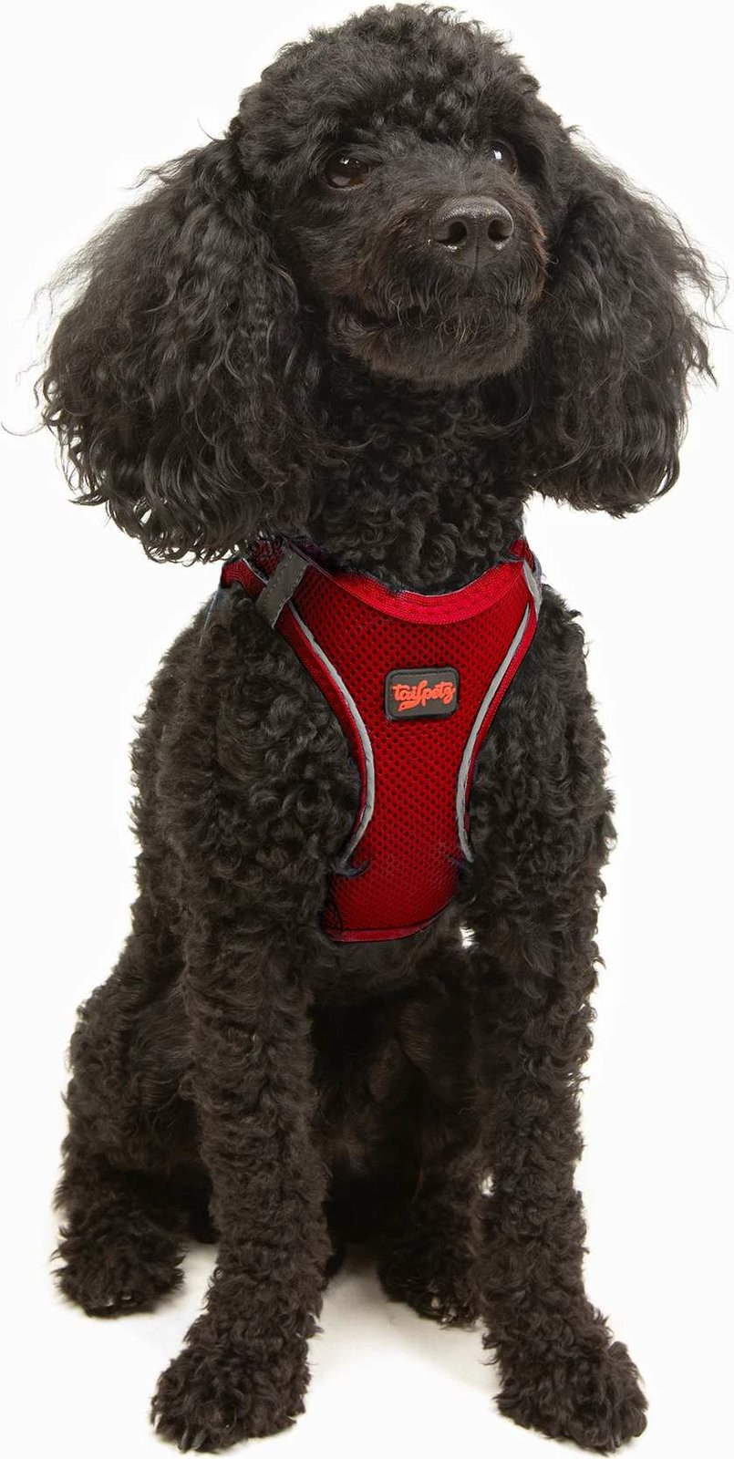 Parzmore për qen, Air-Mesh, e kuqe, Paws & Whiskers, XS Parzmore për qen, Air-Mesh, e kuqe, Paws & Whiskers, XS