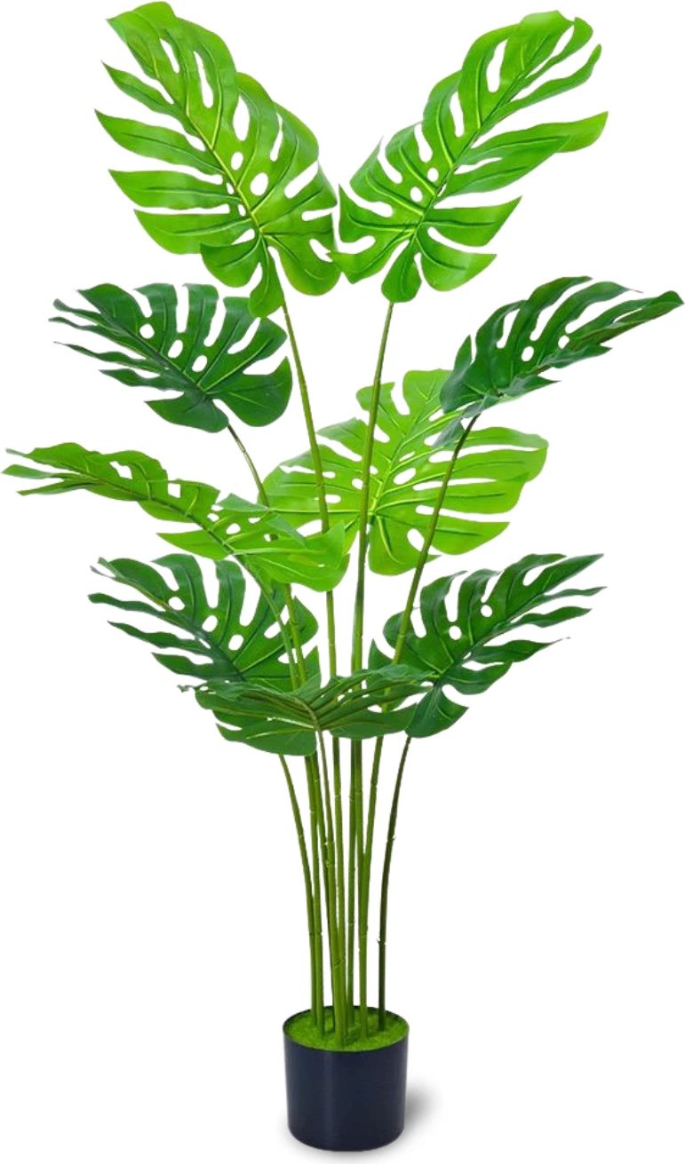 Bimë artificiale Monstera, 160 cm