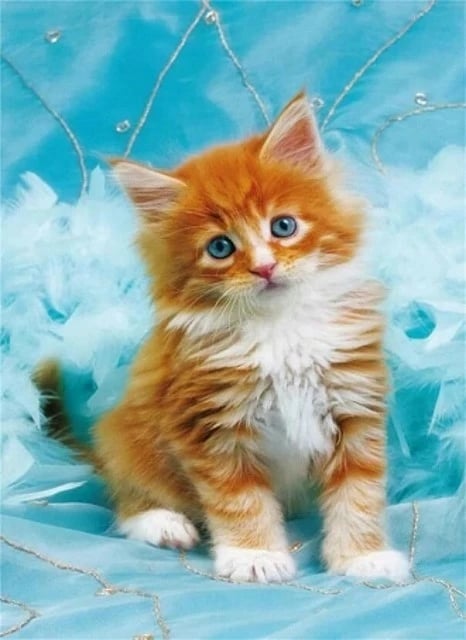 Set mozaik me diamant Norimpex Red Kitten, 40x30cm, shumëngjyrësh