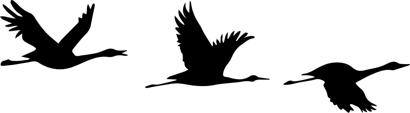 Aksesor muri dekorativ prej metali, Wallity, Mallard, 3 copë, ngjyrë e zezë